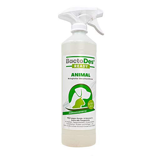 BactoDes Animal Ready - Geruchsentferner Fleckenentferner Spray, Gebrauchsfertig, Enzymreiniger...
