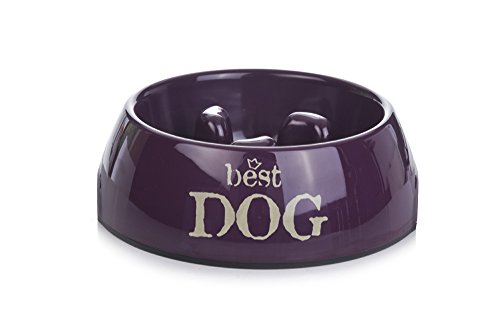 Beeztees 650362 Anti Schling Best Dog, 22 x 7.5 cm, violett