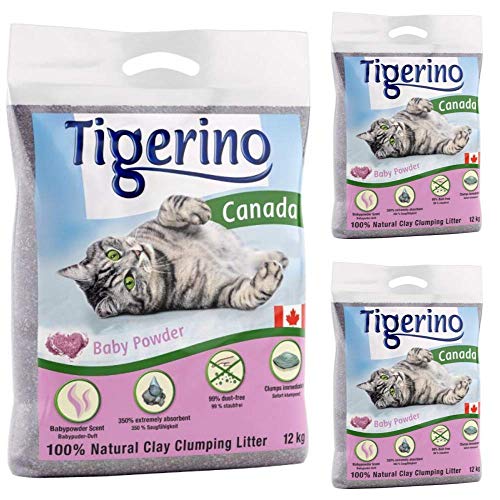 Tigerino Canada Katzenstreu, klumpend, Babypuderduft, 3 x 12 kg, parfümiert, antibakteriell,...