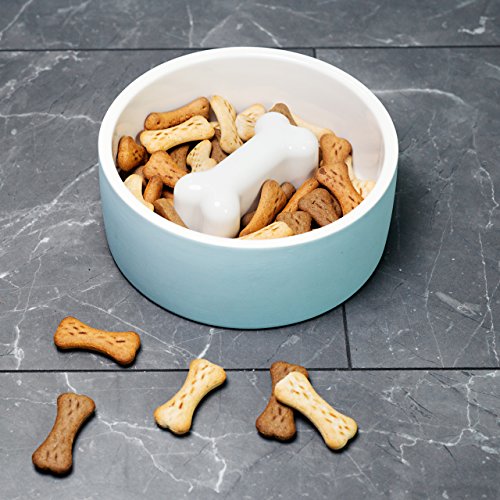 Magisso 90304 Cooling Ceramics Pet Bowl/Slow Feeding, L, blau