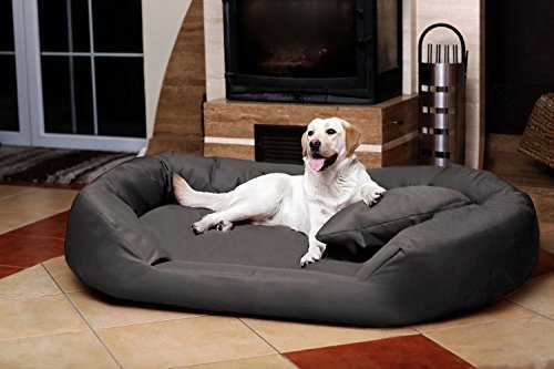 tierlando® ORTHOPÄDISCHES HUNDEBETT Sammy VISCO | Polyester | Kunstleder | CLEAN-Velours |...